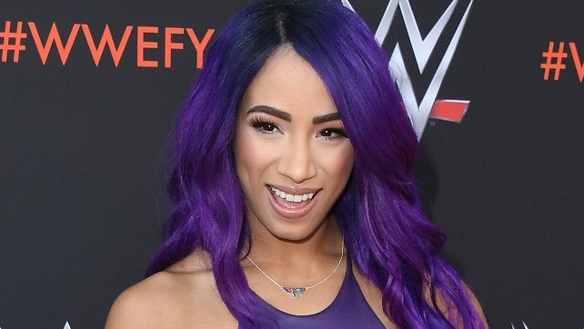 Sasha Banks Net Worth